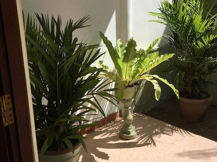 Пансион Kandy Home Stay Villa