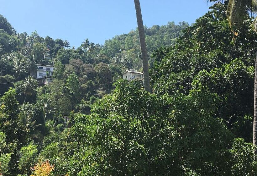 Пансион Kandy Home Stay Villa