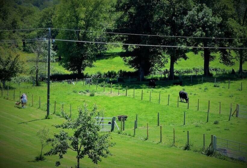 ペンション L Ancien Presbytère Chambres D Hote Ou Gite