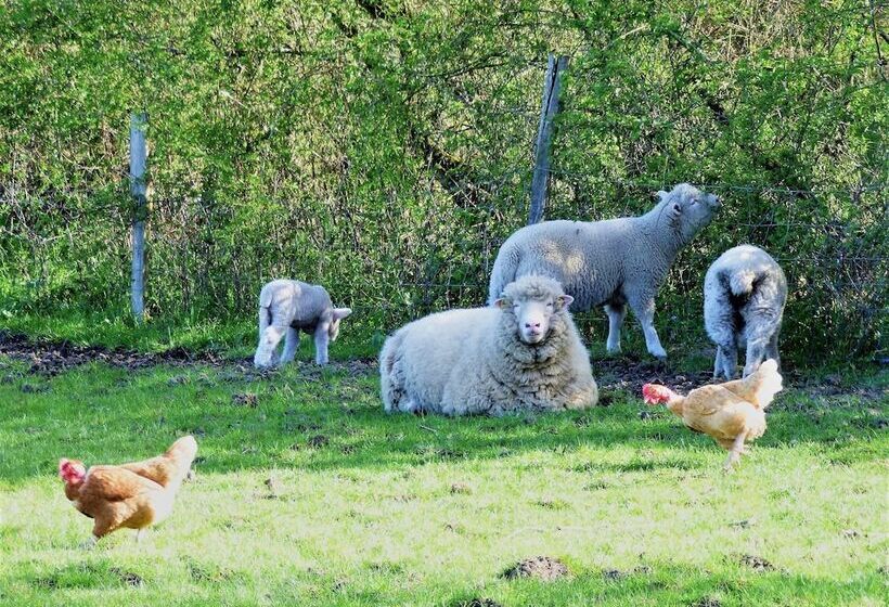 ペンション L Ancien Presbytère Chambres D Hote Ou Gite