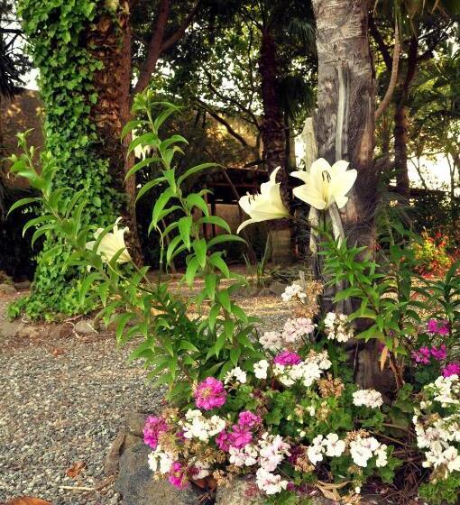 Pensjonat Le Mãƒâ nnare Case Vacanze Di Metopa Srl