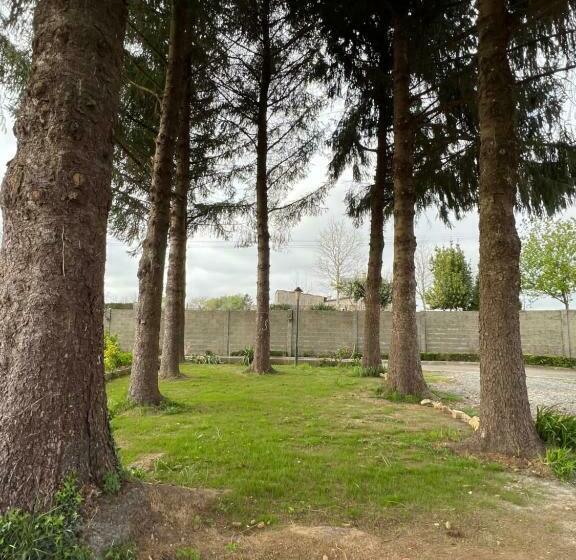 펜션 Mar De Frisia