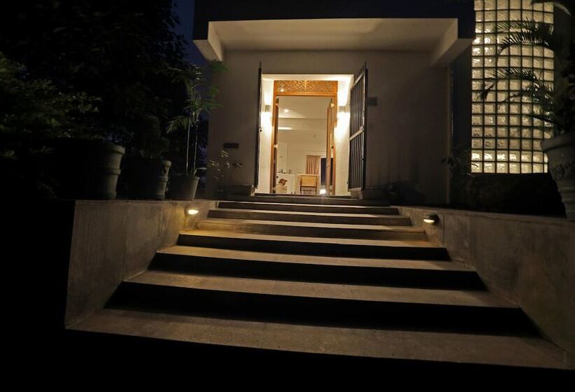 بنسيون Primrose Bungalow