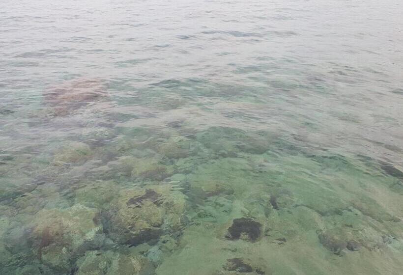 بنسيون Th Luxury Rooms