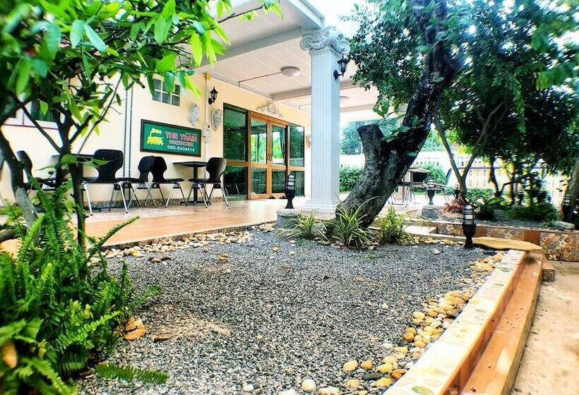 بنسيون The Train Guesthouse