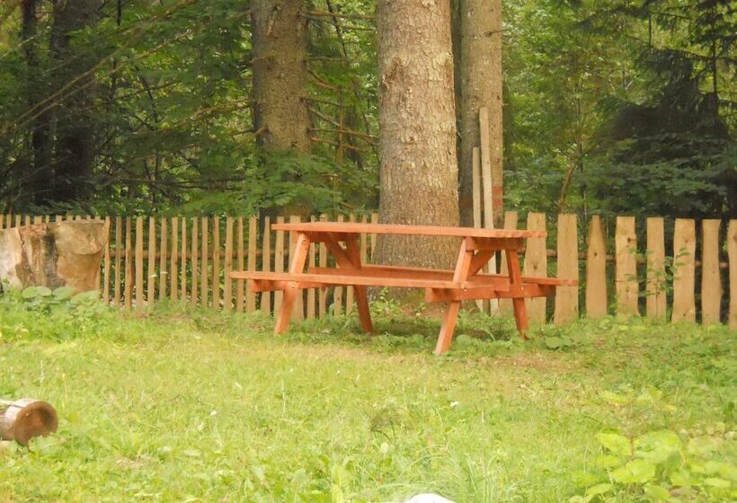 Pensiunea Cabana Sestina