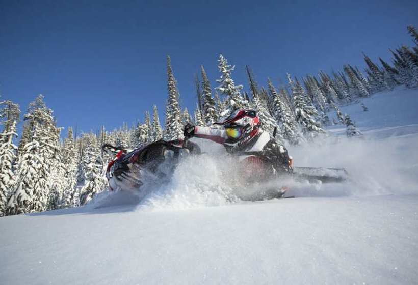 The Aspen Moose Vacation Cabin
