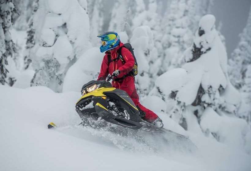 The Aspen Moose Vacation Cabin