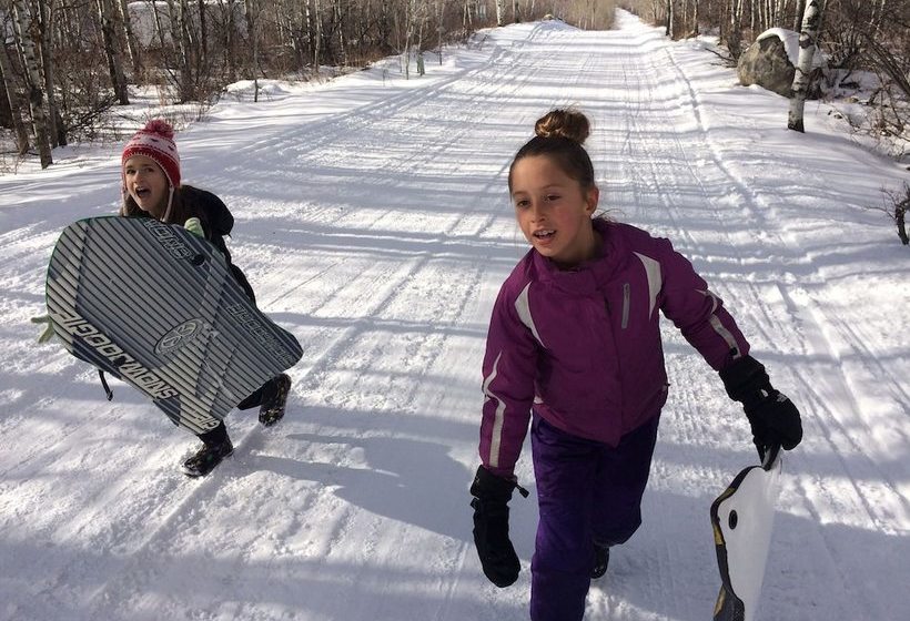 The Aspen Moose Vacation Cabin