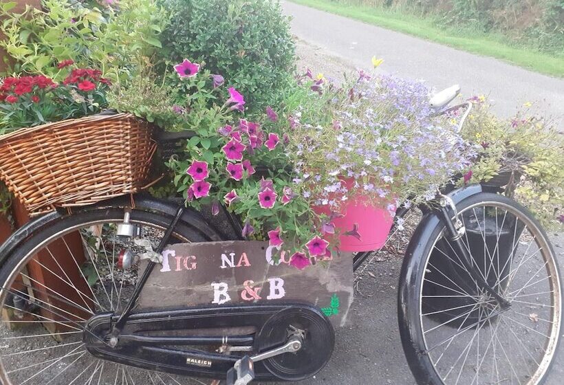 Tig Na Coille B&b Country House