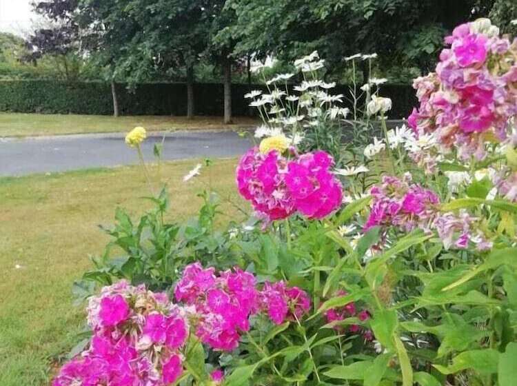 Tig Na Coille B&b Country House