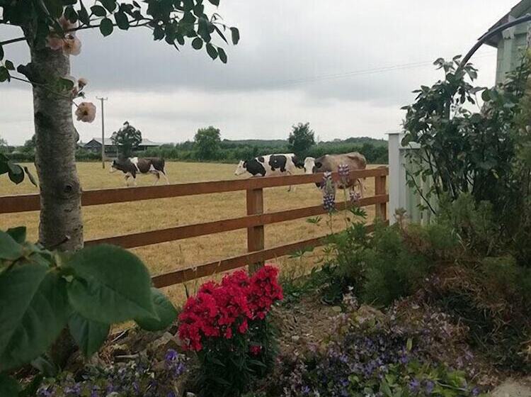 Tig Na Coille B&b Country House