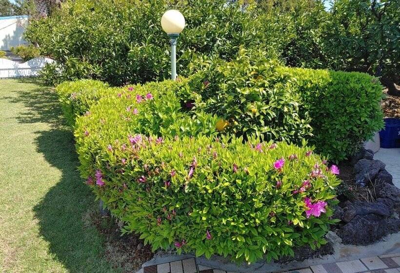 ホテル Gyulhouse Pension