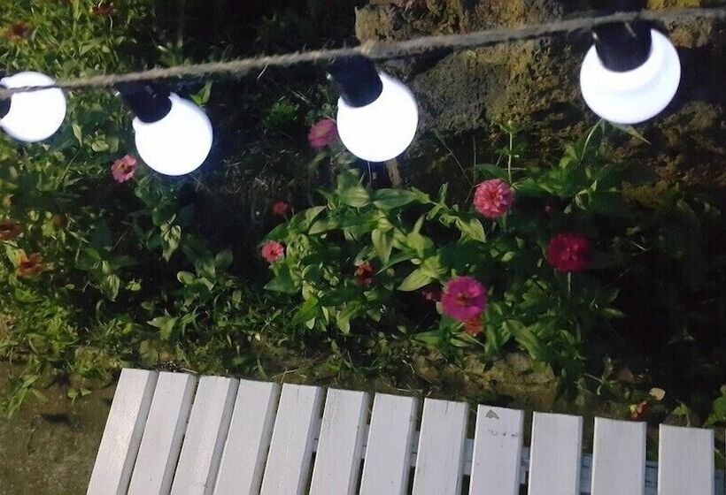 בית מלון כפרי Jejumermuri