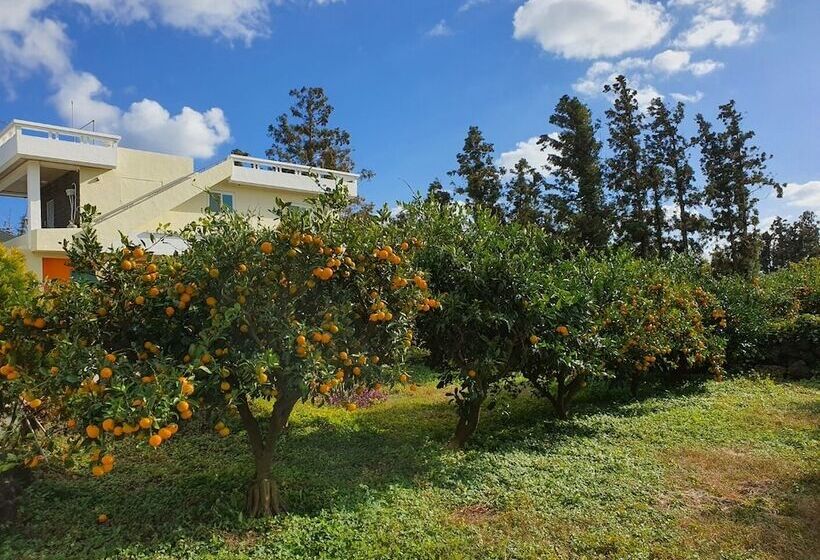 בית מלון כפרי Jejumermuri