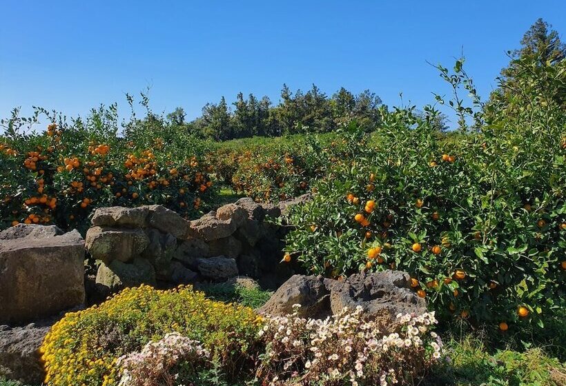 בית מלון כפרי Jejumermuri
