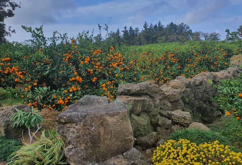 בית מלון כפרי Jejumermuri