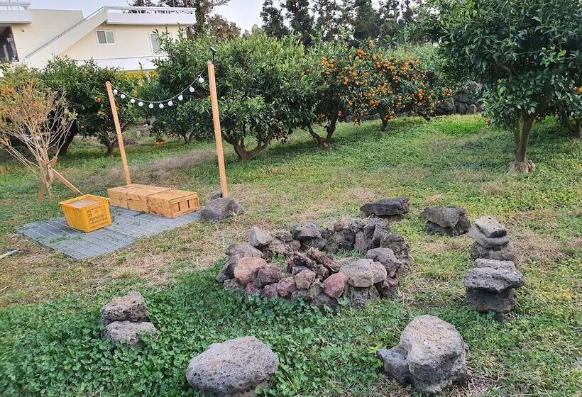 בית מלון כפרי Jejumermuri