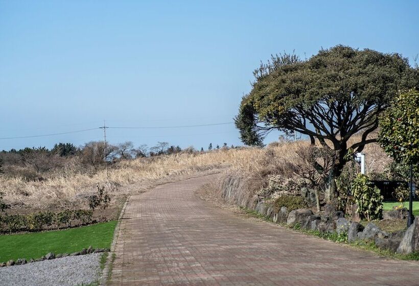 בית מלון כפרי Jeju Nollmung