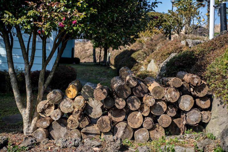 בית מלון כפרי Jeju Nollmung