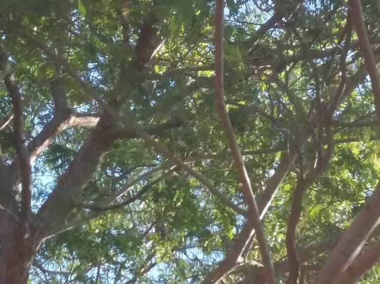 ホテル Kenuson Yala