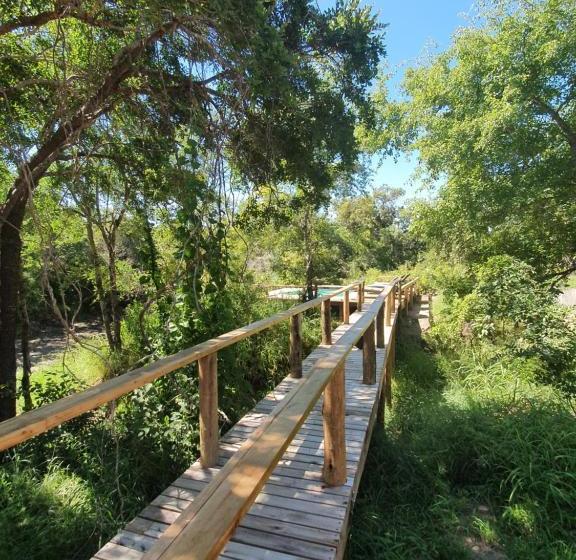 ホテル Kingfisher Creek Safari Lodge