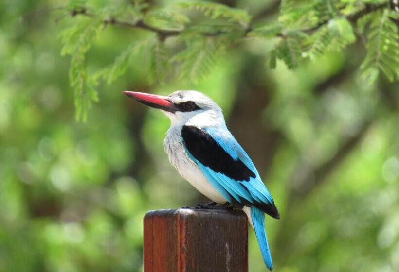 호텔 Kingfisher Creek Safari Lodge