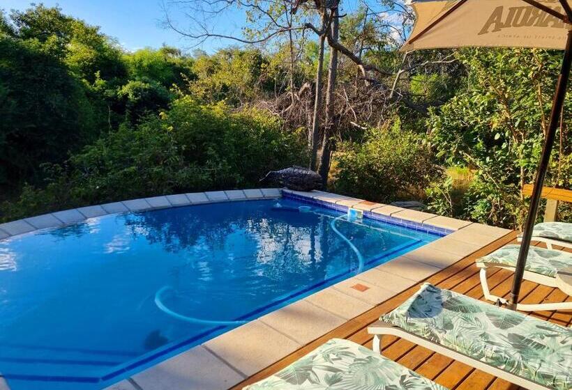 ホテル Kingfisher Creek Safari Lodge