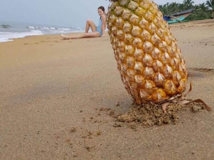 酒店 Mihilaka Holiday Homes