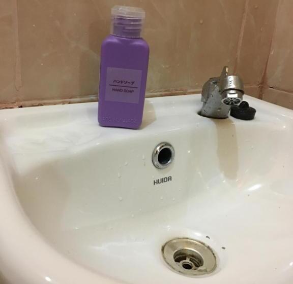 هتل Pines Mansion