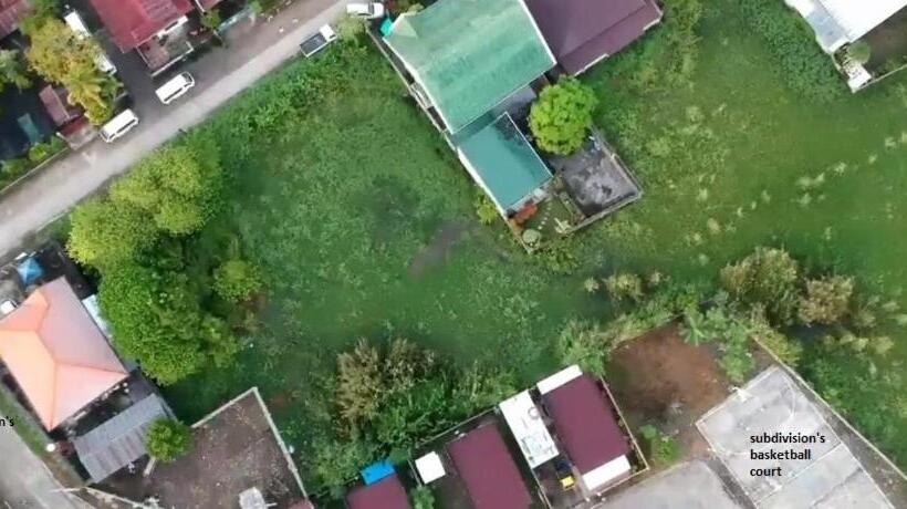 هتل Pines Mansion