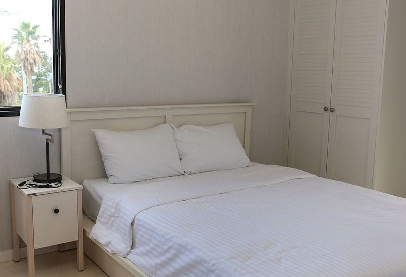 酒店 Plumeria Pension