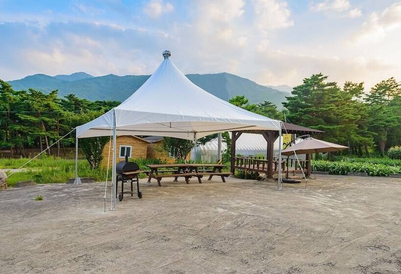 Отель Seorak Pension