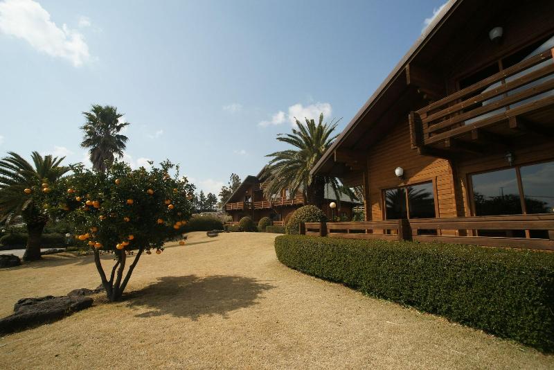 ホテル Sunnyday Jeju