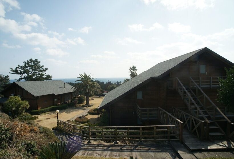 酒店 Sunnyday Jeju