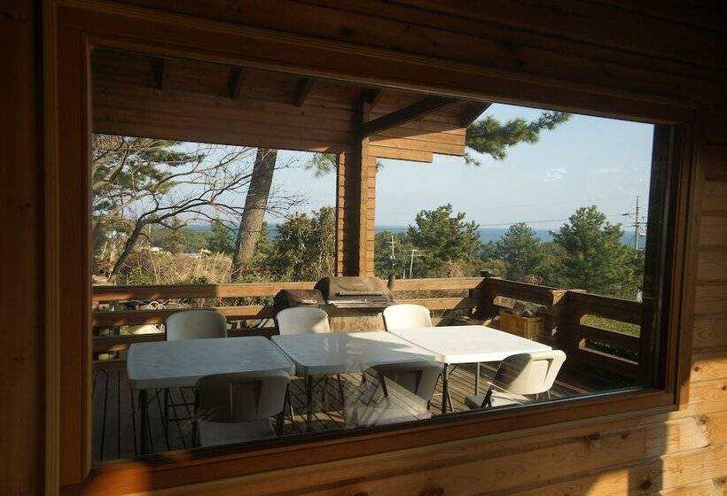 酒店 Sunnyday Jeju