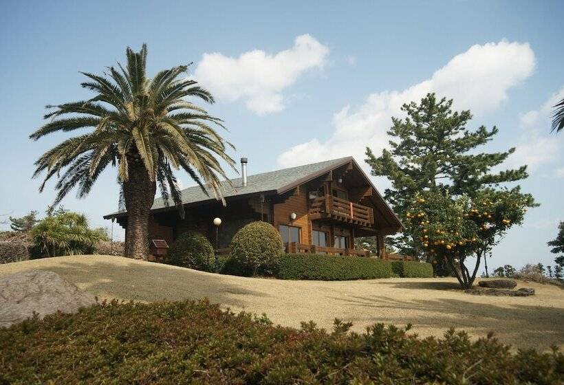 酒店 Sunnyday Jeju