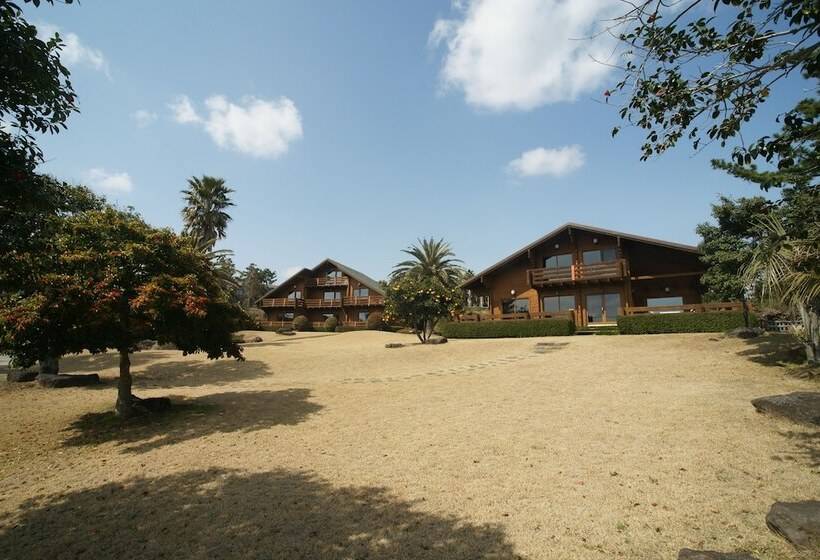 酒店 Sunnyday Jeju