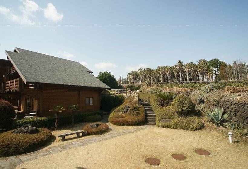 酒店 Sunnyday Jeju