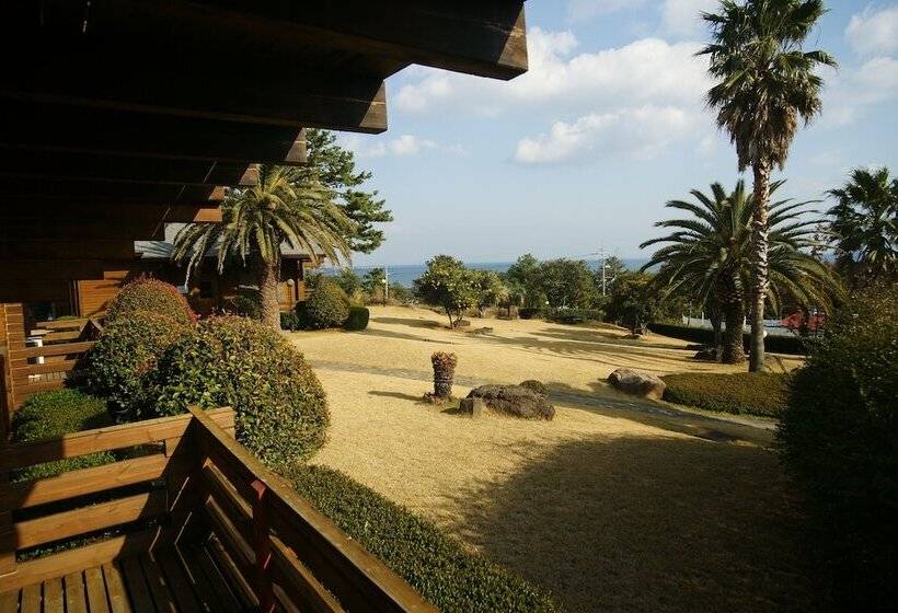 酒店 Sunnyday Jeju