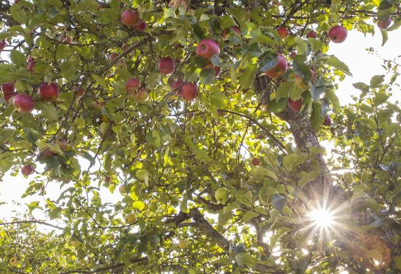 ホテル The Browns  Luxury Guest Suites