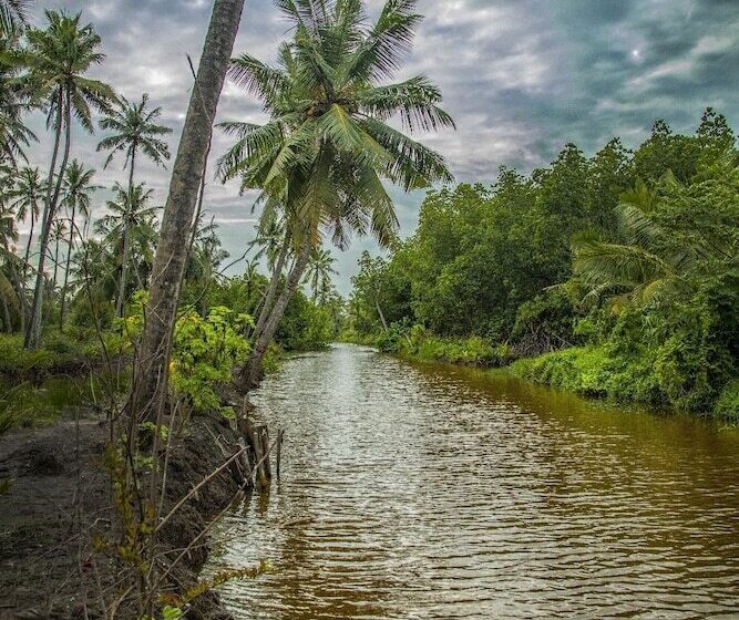 Milkyway Holiday Resort