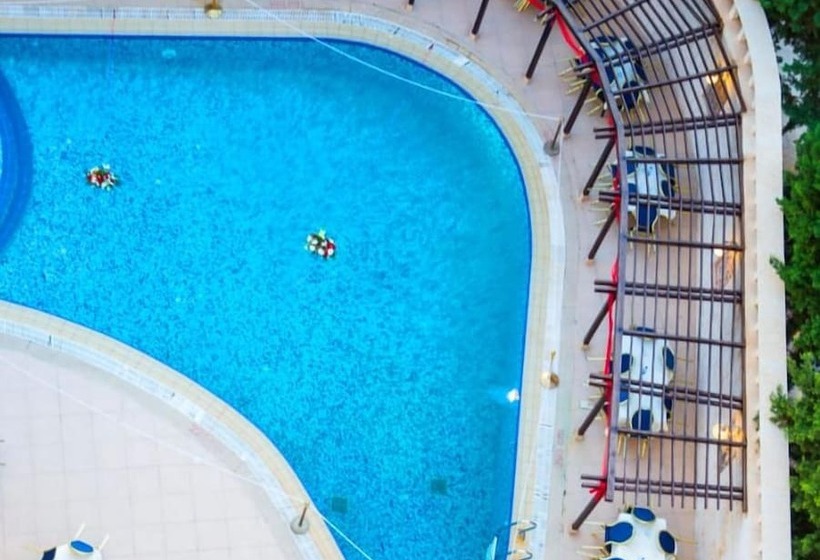 هتل Amman Cham Palace