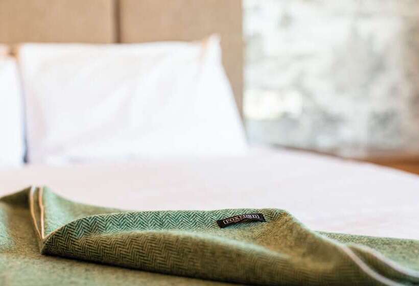 בית מלון כפרי Ballina Manor