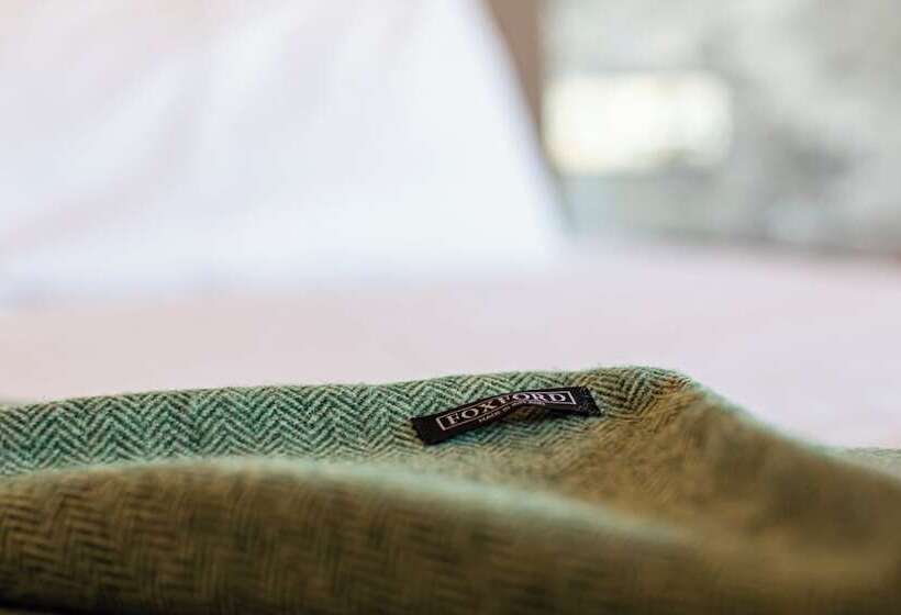 בית מלון כפרי Ballina Manor