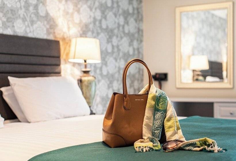 בית מלון כפרי Ballina Manor