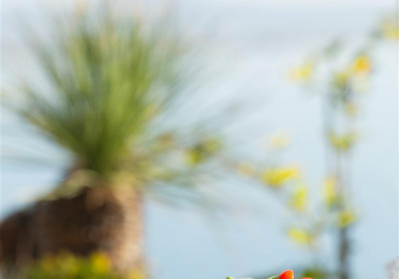 هتل Barcelo Concorde Les Berges Du Lac