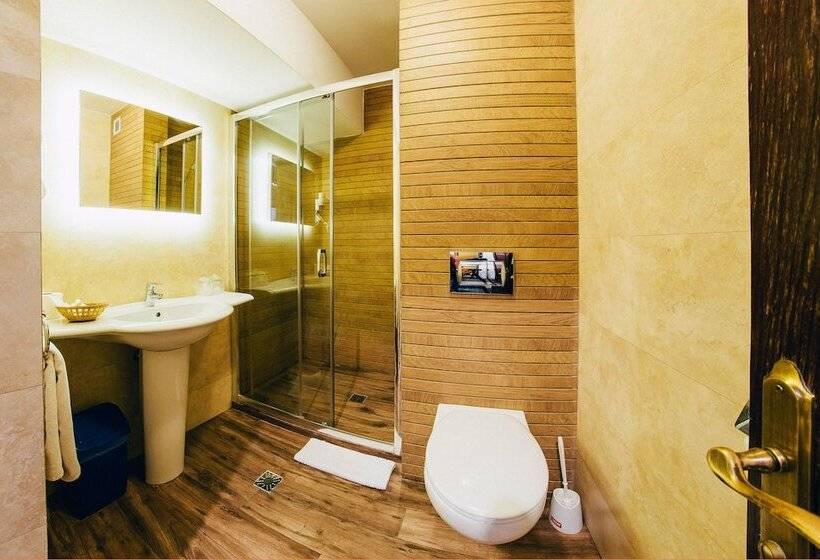 호텔 Best Western Bucovina Club De Munte