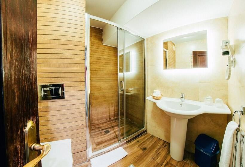 호텔 Best Western Bucovina Club De Munte