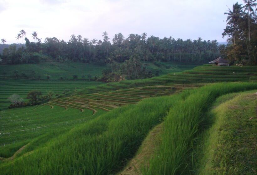 בית מלון כפרי Cempaka Belimbing Villa